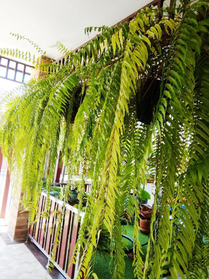 Wilderness Bed & Breakfast Ban Chang  Exterior foto